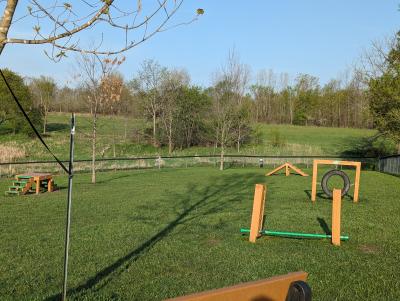 wooden small breed dog sized agility items and a wooden bench on green grass of dog park